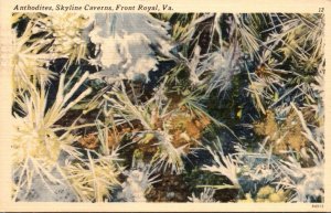 Virginia Front Royal Skyline Caverns Anthodites 1953