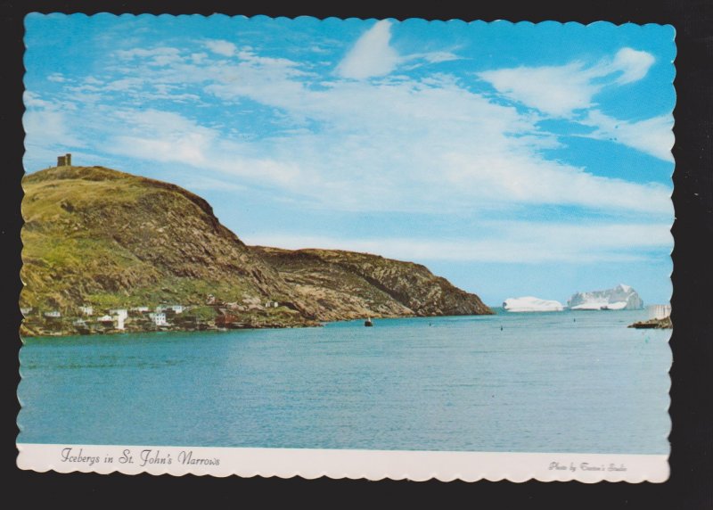 NEWFOUNDLAND - Icebergs In Entrance St. John's Harbour - 1960s - Unused