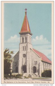 Pro Cathedral of the Assumption, North Bay, Ontario, Canada, 10-20s