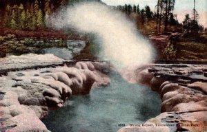 Yellowstone National Park Oblong Geyser
