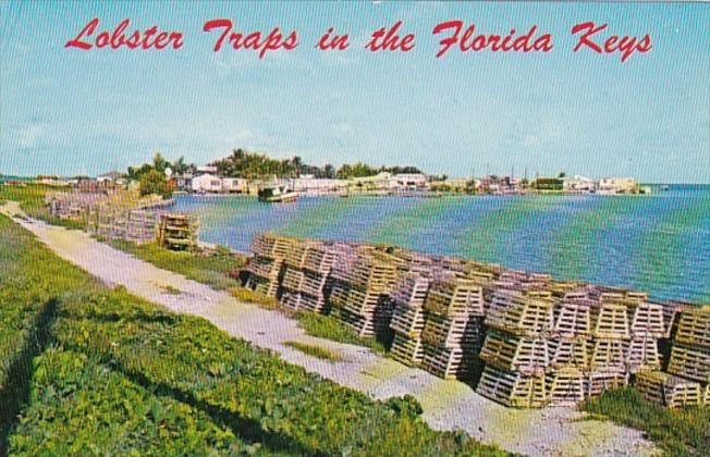 Florida Conch Key Lobster Traps In The Florida Keys