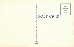 Robbins Comic What Some Folks Think Cape Cod Is Like Vintage Postcard R10