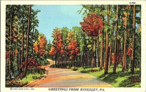 Greetings From Kingsley PA Pennsylvania Vintage Postcard Standard View Card  