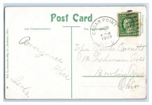 Circa 1910 Train Stop Cedar Point Excursion Sandusky OH Vintage Postcard F24