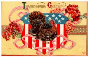 Thanksgiving ,  Turkey patriotic