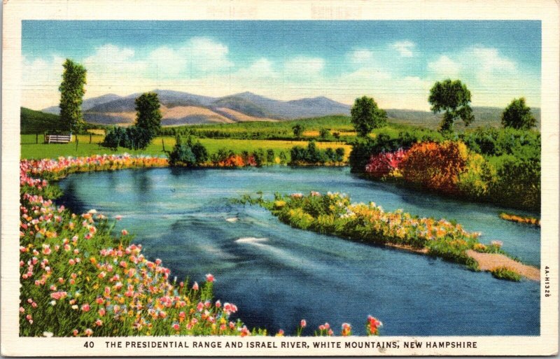 Presidential Range Israel River White Mountains New Hampshire Flowers Postcard 