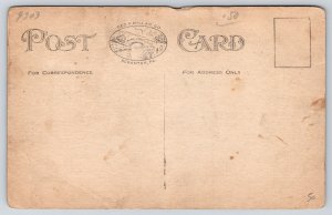 Buck Hill Pennsylvania~Fork in the State Road~Intersection~c1910 B&W Postcard