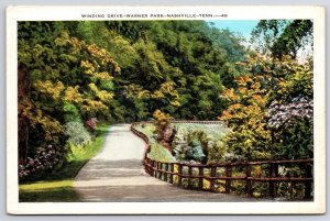 Cartão postal antigo de Nashville Tennessee, Winding Drive Warner Park Pathway Landscapes-