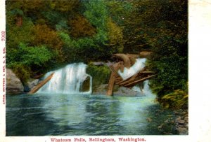 Bellingham, Washington - A view of Whatcom Falls - c1908
