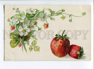 256929 C. KLEIN Strawberry Flowers Vintage EMBOSSED postcard