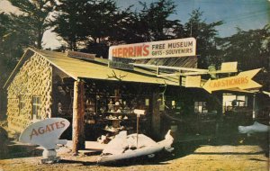 Arcata California Herrins Free Museum, Photochrome Vintage Postcard U13652