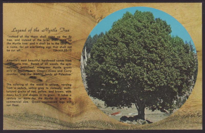 Legend of the Myrtle Tree Postcard