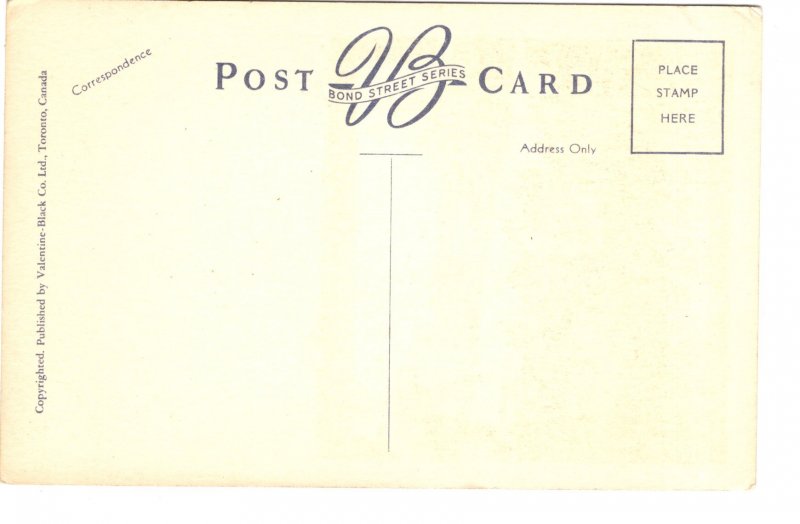 View  from Park, Niagara Falls, Ontario