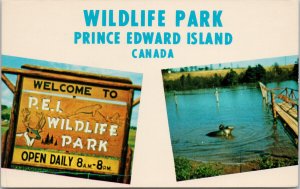 Wildlife Park Prince Edward Island PE PEI Unused Vintage Postcard F30