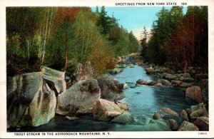 New York Adirondacks Beautiful Trout Stream Curteich