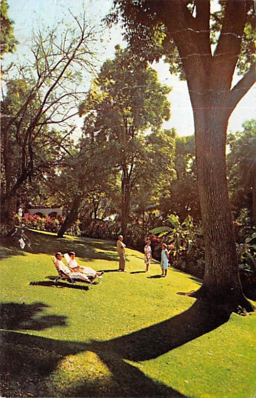 Mexico Old Vintage Antique Post Card Section of the Gardens Cuernavaca 1975