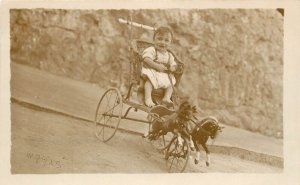 RPPC Postcard Little Boy Holds Reins of Horses on the Front Wheel of Stroller