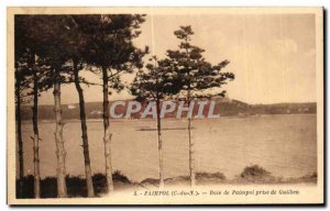 Old Postcard Paimpol Bay taking Guilben