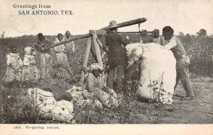 Black Americana SAN ANTONIO, TEXAS African American 1900s UDB Antique Postcard