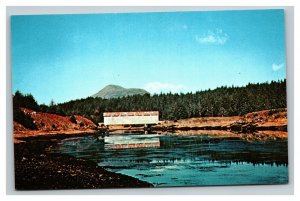 Vintage 1950's Postcard Afognak Island Covered Bridge Afognak River Alaska