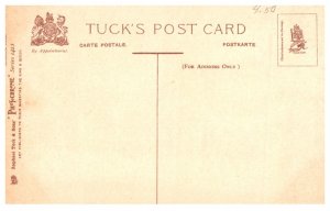 Dog , Boxer , On Guard