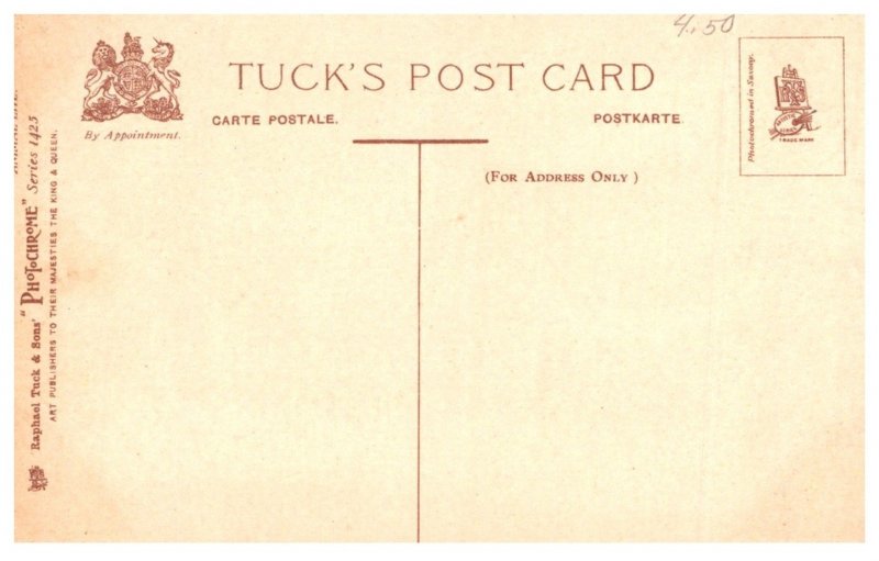 Dog , Boxer , On Guard