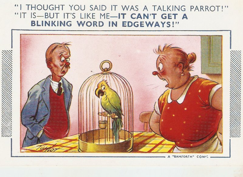 l thought you said it was a talking . Bamforth Comic Series postcard No. 1093