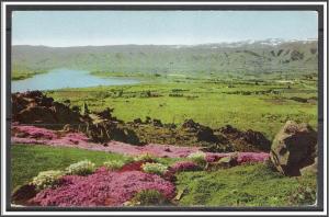 Washington, Wenatchee Valley Union '76 Oil Company Card - [WA-018]