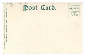 MA - Cape Cod. Cranberry Picking ca 1905