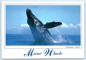 LAHAINA, MAUI Hawaii HI ~ Breaching HUMPBACK WHALE ca 1990s ~ 4x6 Postcard