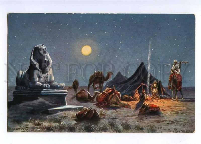 189885 EGYPT Sphinx CAMEL Moon by PERLBERG vintage PC