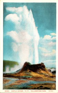 Yellowstone National Park Castle Geyser