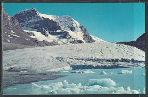 The Columbia Icefields Canadian Rockies