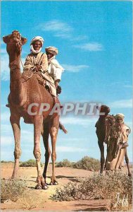 Postcard Modern Morocco Picturesque Life in Desert Camels