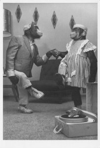 Rock & Roll Monkeys Dating Old Record Player Disco Chimpanzee Postcard