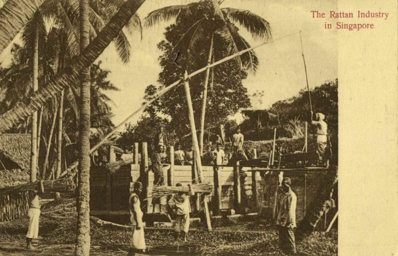 straits settlements, SINGAPORE, The Rattan Industry (1910s) Postcard