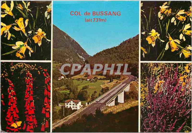 Modern Postcard Between the Vosges and Alsace Vosges Col de Bussang and Flowers