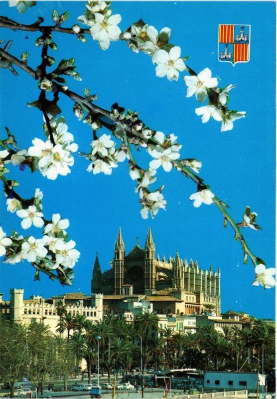 CPA Espagne-Mallorca-Palma de Mallorca-La Cathédrale (323467)