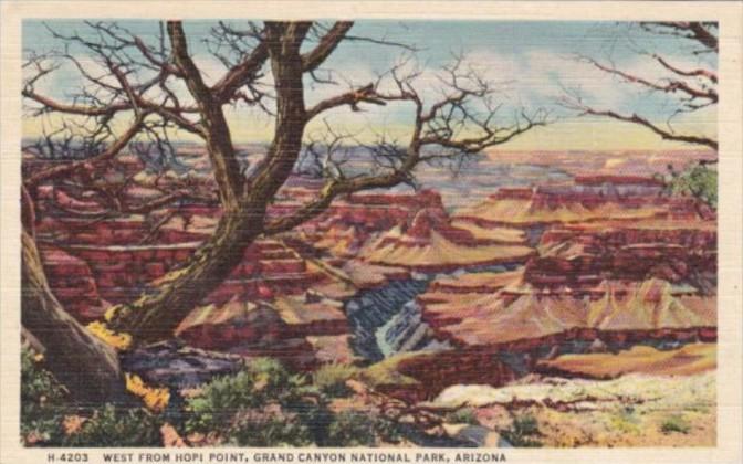 Fred Harvey West From Hopi Point Grand Canyon National Park Arizona 1952 Detr...