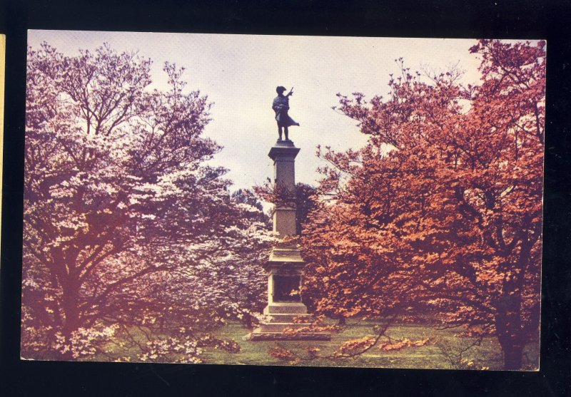 Valley Forge, Pennsylvania/PA Postcard, Dogwood Grove & New Jersey Monument