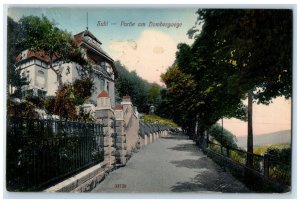 1910 Road View Part of Domberg Trail Suhl Germany Antique Posted Postcard