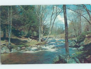 Pre-1980 NATURE SCENE Pawling - Near Newburgh & Poughkeepsie New York NY AD6384