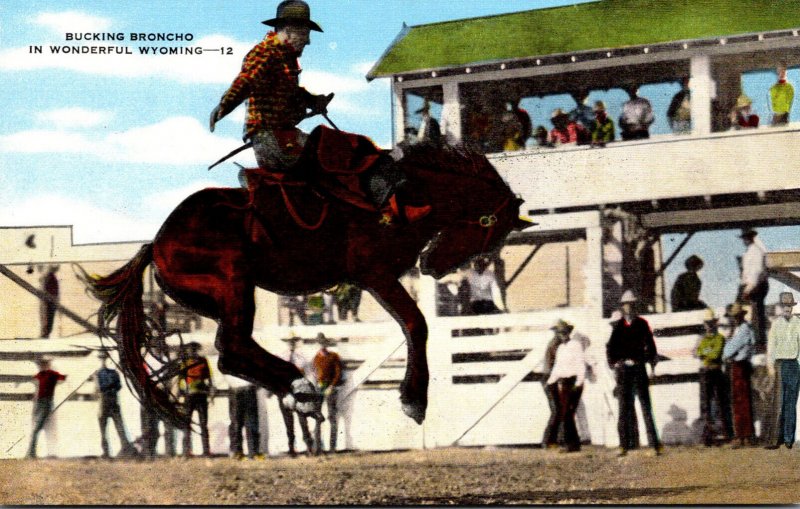 Wyoming Rodeo Scene Bucking Bronco