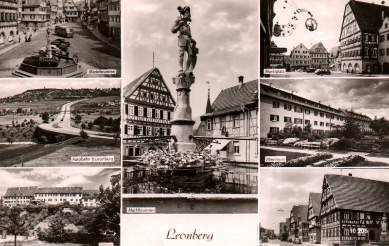 Multiview Leonberg,Germany BIN