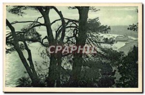 Nice Old Postcard The Bay of Angels through the pines to the castle