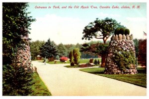 New Hampshire Salem Canobie Lake Park, Entrance and the Old Apple tree