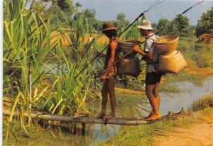 BF36407 cuoc song doi thuong china doi ban di cau fishing   front/back scan