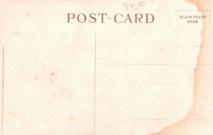Vintage Postcard 1908 Washington Elm Tree Street View Cambridge Massachusetts