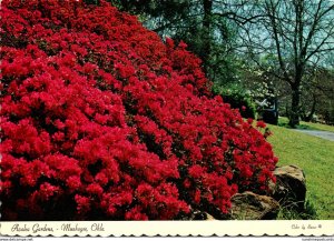 Oklahoma Muskogee Azalea Gardens In Honor Heights Park