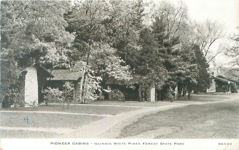 White Pines Forest State Park Cabins, Illinois B&W Postcard Unused